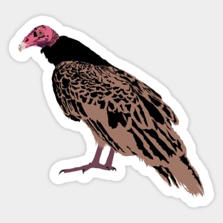 Turkey Vulture Sticker